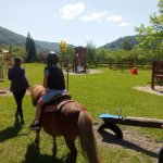 phoca_thumb_m_ponk 129 Fotogalerie